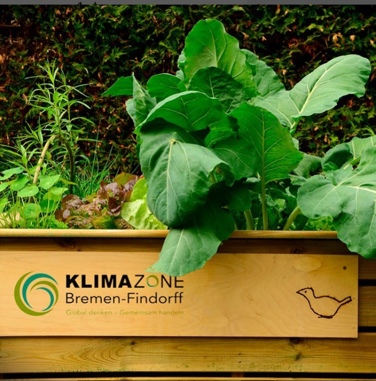 Hochbeet mit dem Logo der Klimazone Bremen-Findorff