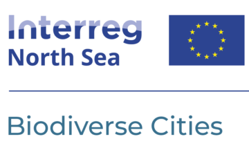 Logo Interreg North Sea